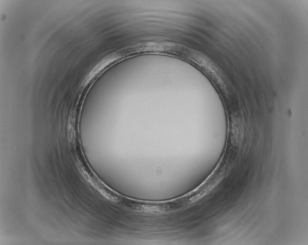 X0000081470794200701262002