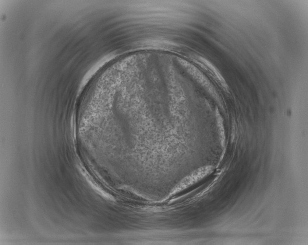 X0000081470796200701262001