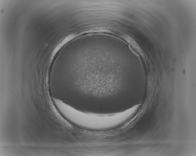 X0000081470797200701262001