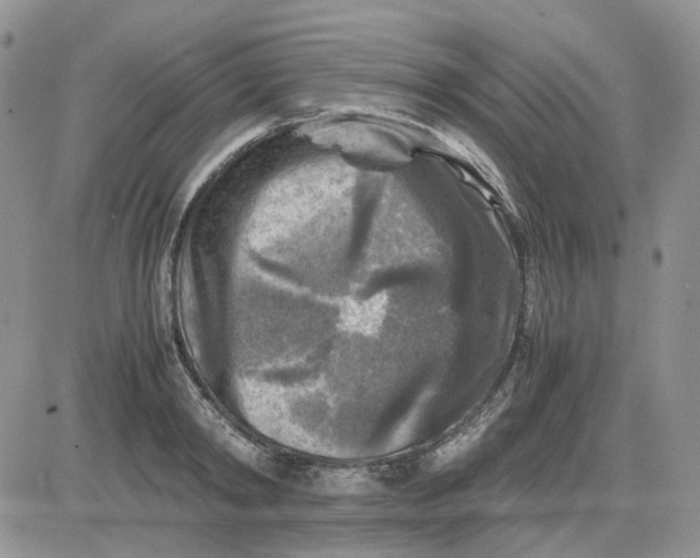 X0000081470798200701262001