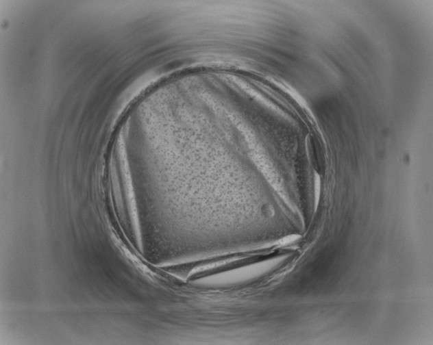 X0000081470799200701262001