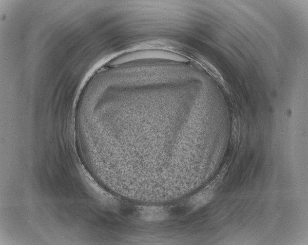 X0000081470800200701262001