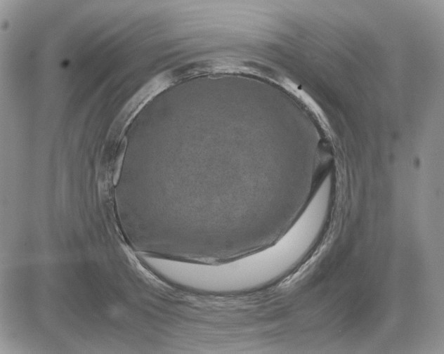 X0000081470801200701262001