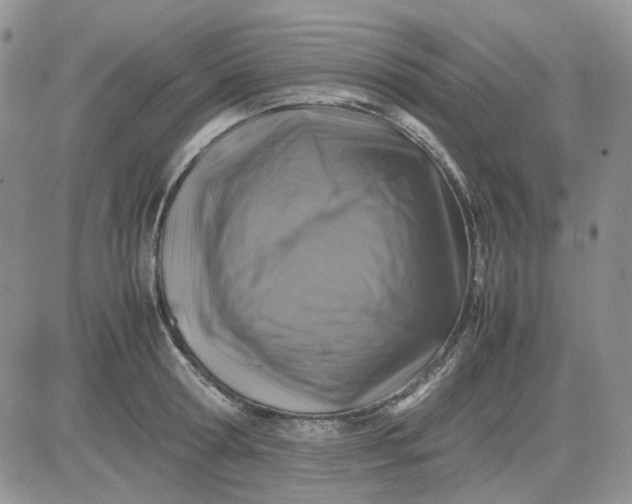 X0000081470802200701262001