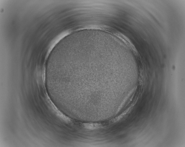 X0000081470804200701262001