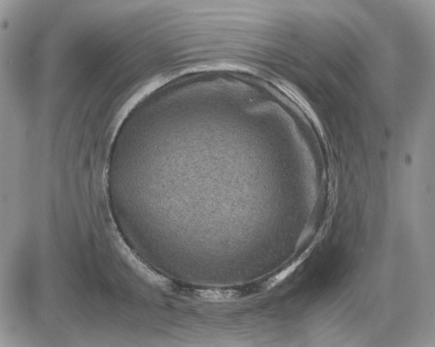 X0000081470805200701262001