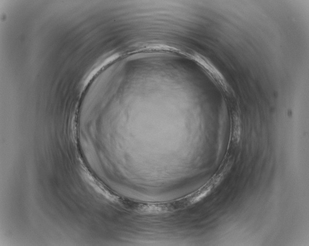 X0000081470806200701262001