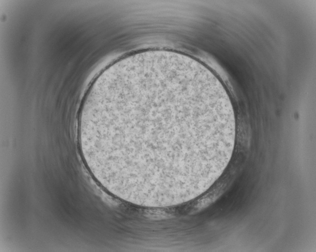 X0000081470807200701262001