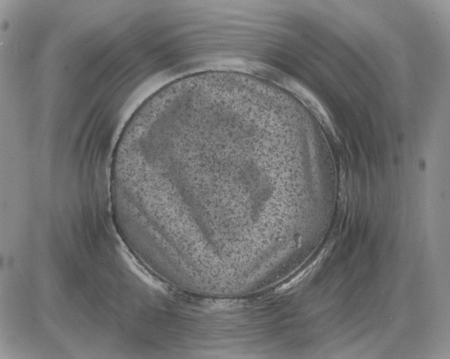 X0000081470808200701262001