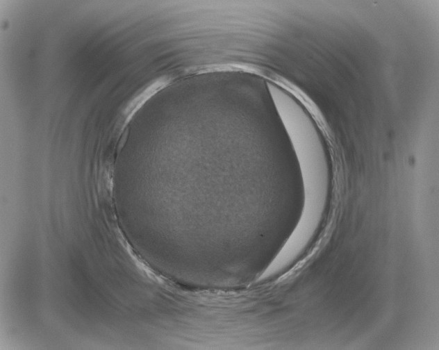 X0000081470809200701262001