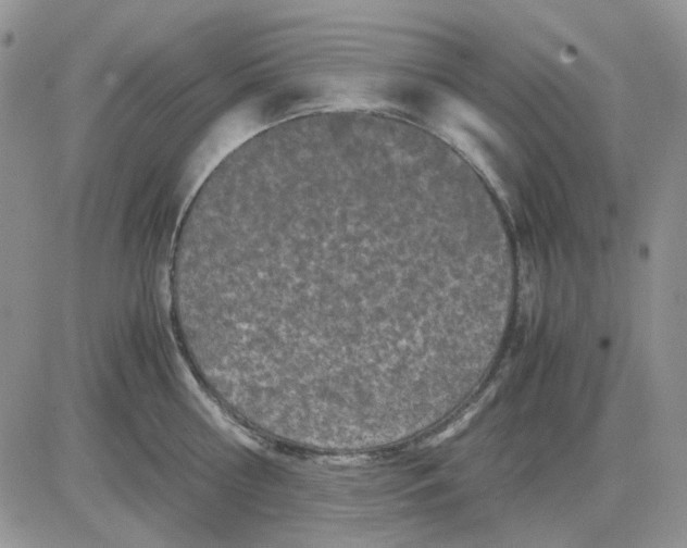 X0000081470810200701262001