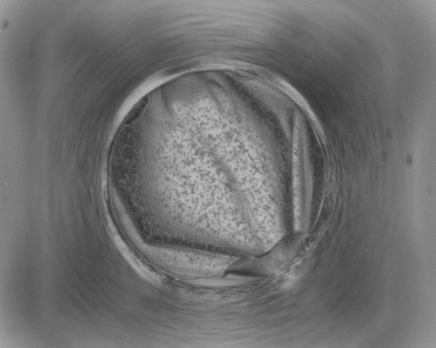 X0000081470811200701262001