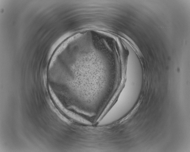 X0000081470812200701262001