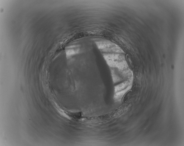 X0000081470817200701262000