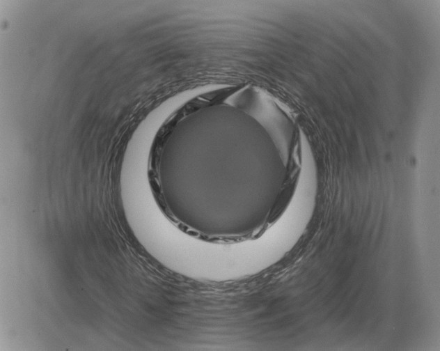 X0000081470818200701262000