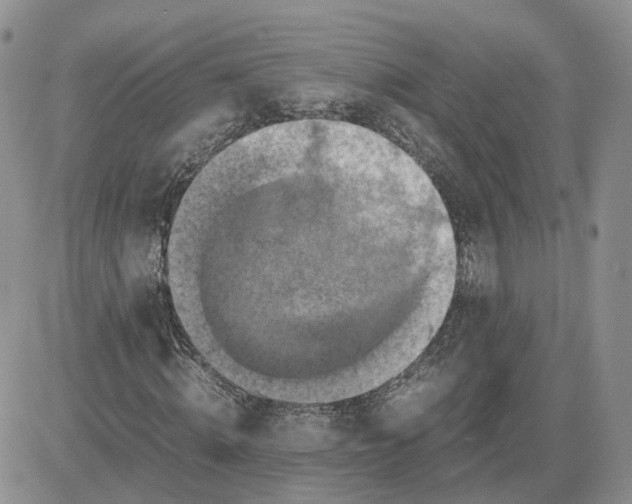 X0000081470820200701262000