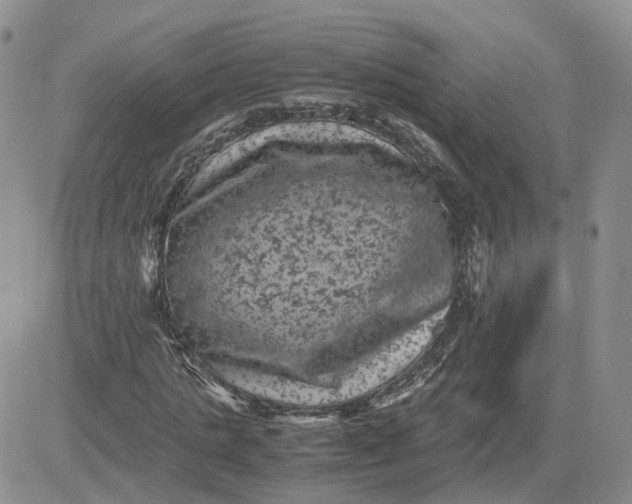 X0000081470821200701262000