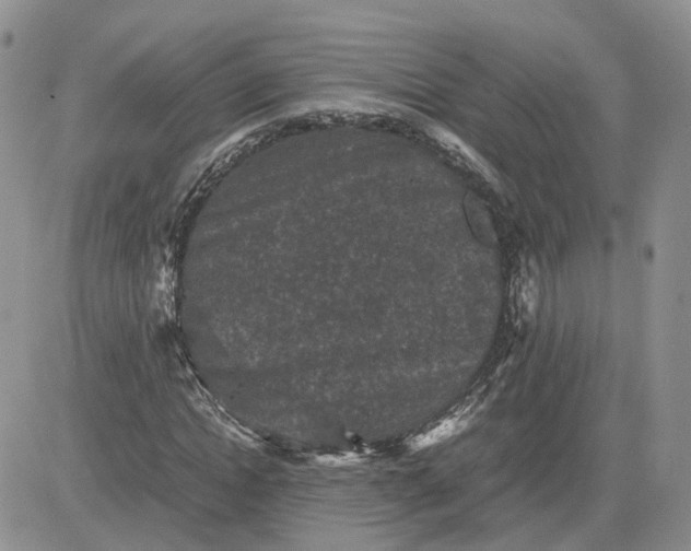 X0000081470822200701262000