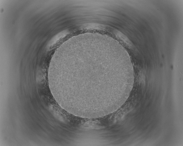 X0000081470824200701262000