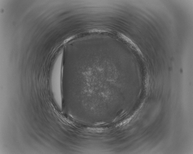 X0000081470825200701262001