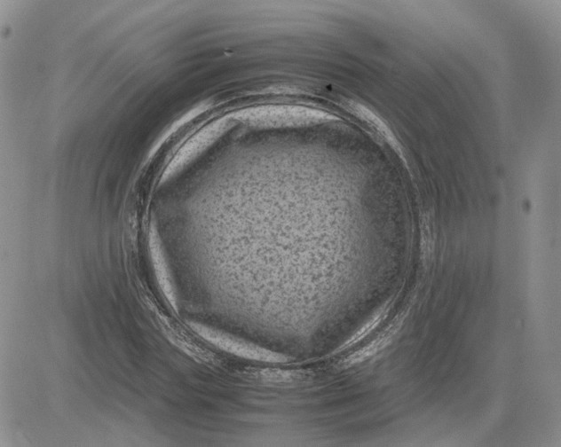 X0000081470827200701262001