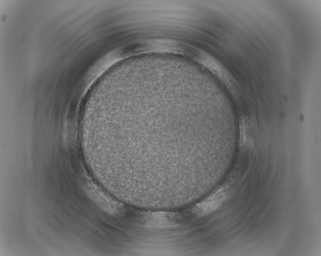 X0000081470828200701262001