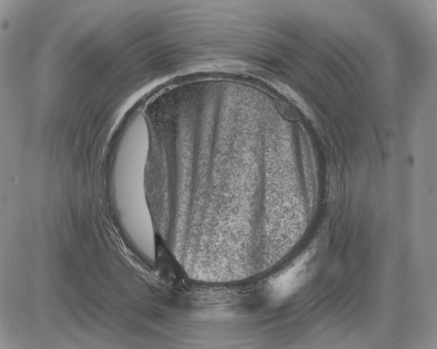 X0000081470830200701262001