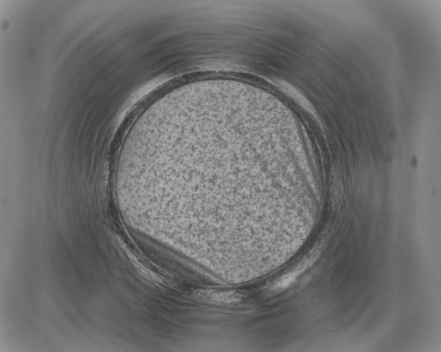 X0000081470831200701262001