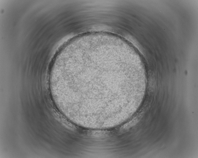 X0000081470832200701262001