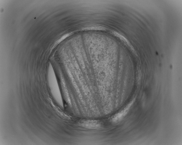 X0000081470833200701262001