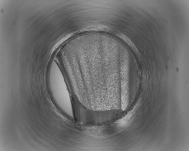 X0000081470834200701262001