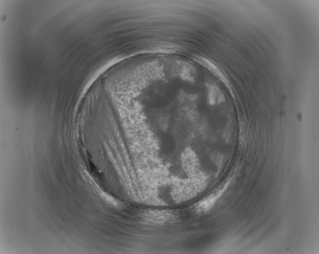 X0000081470835200701262001