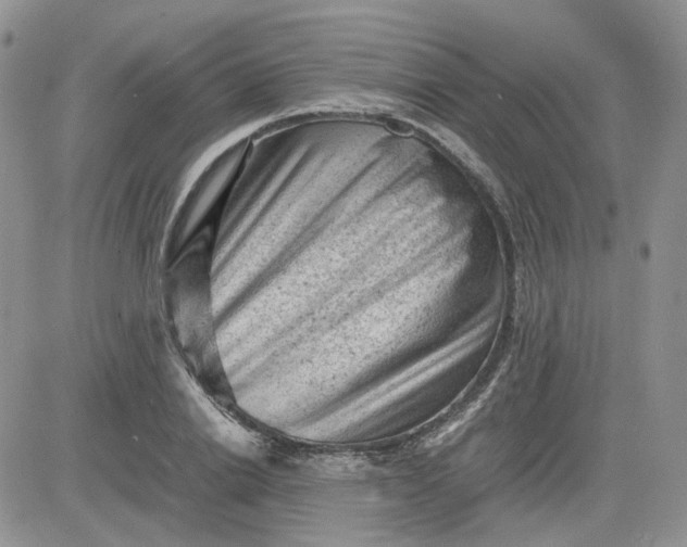 X0000081470838200701262001