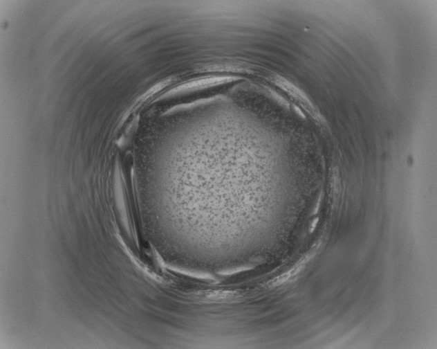 X0000081470841200701262001