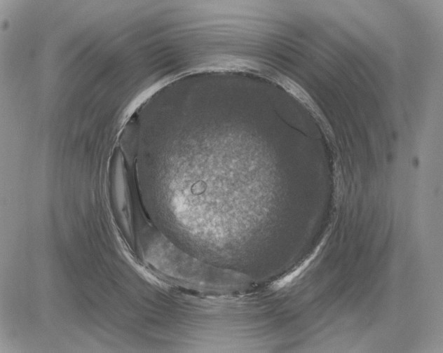 X0000081470842200701262001