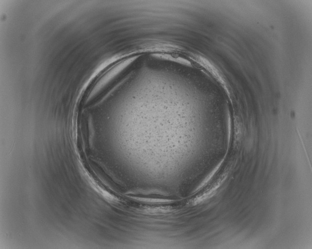 X0000081470843200701262001