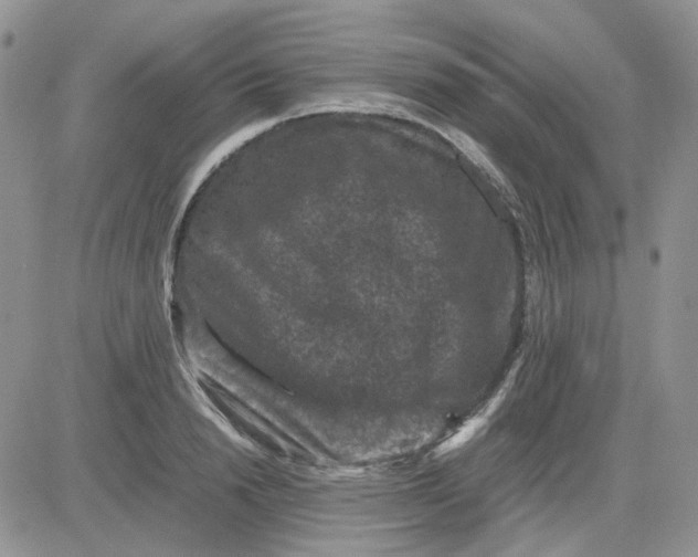 X0000081470846200701262001