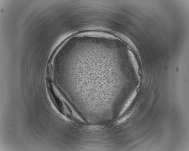 X0000081470847200701262001