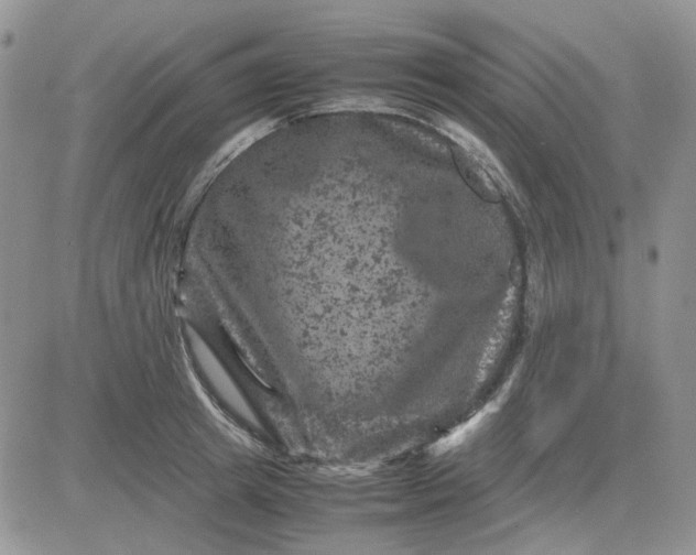 X0000081470849200701262001