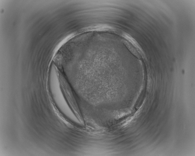 X0000081470850200701262001