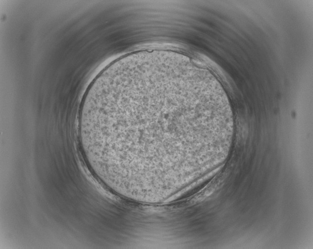 X0000081470852200701262001