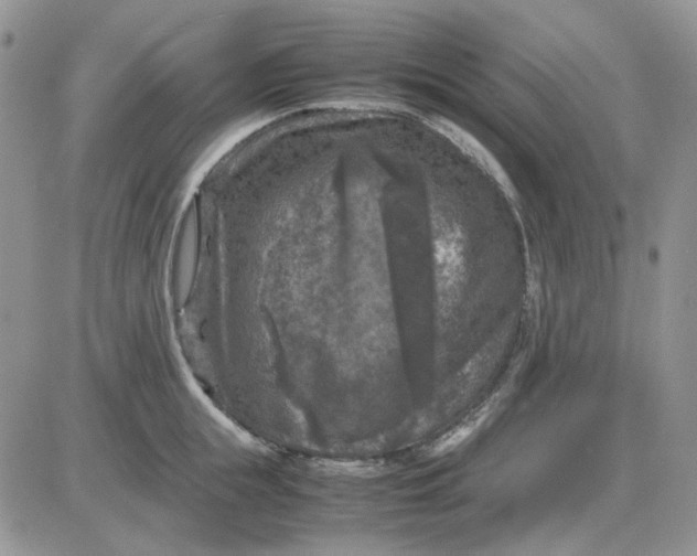 X0000081470855200701262001