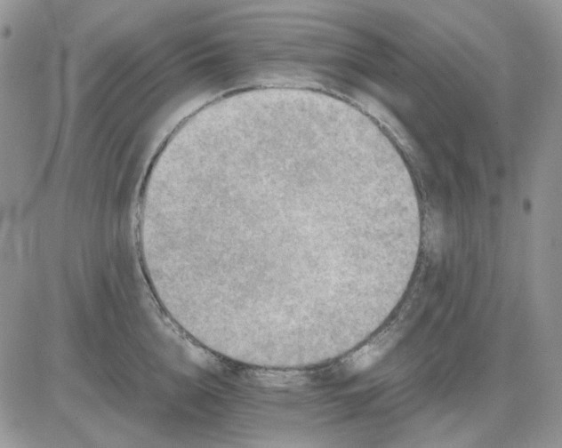 X0000081470856200701262001