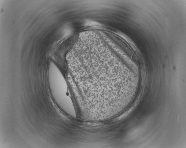 X0000081470857200701262001