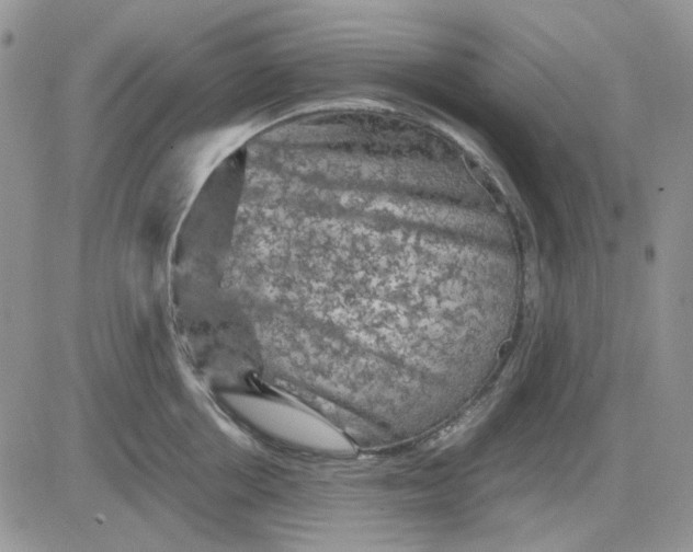 X0000081470858200701262001