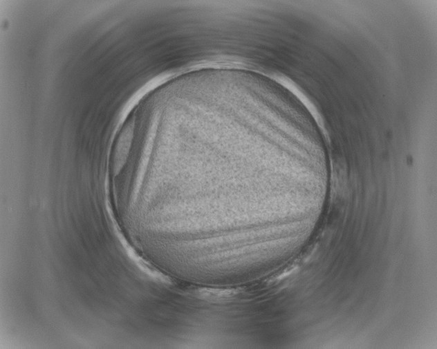 X0000081470861200701262001