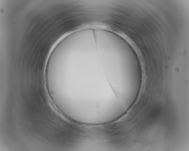 X0000081470864200701262001