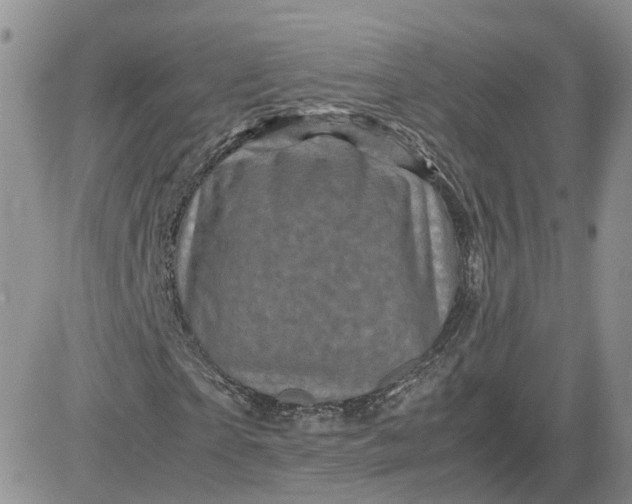 X0000081470865200701262000