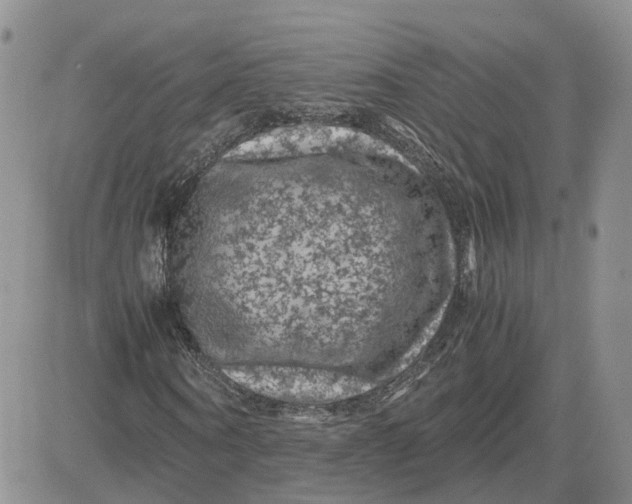 X0000081470866200701262000