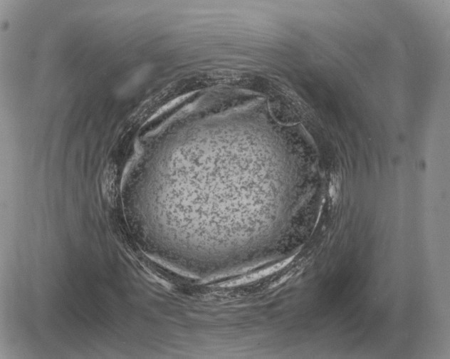 X0000081470867200701262000